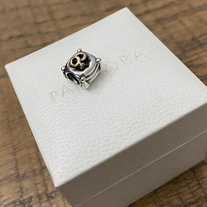 Authentic PANDORA Romantic Union Charm.